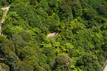 Lot 8 Tepuia Heights, Admiralty Bay