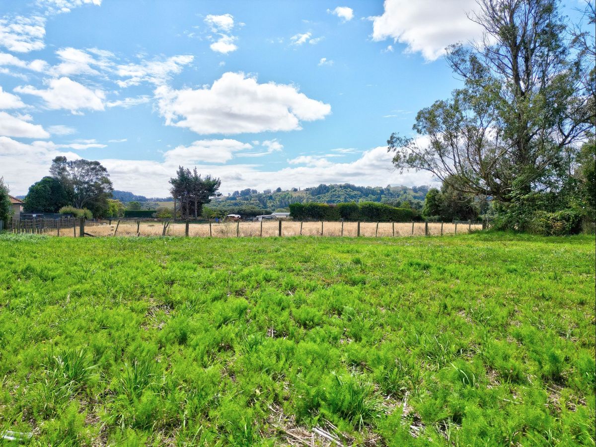 Rare opportunity – multiple freehold sections - Ansicht 3