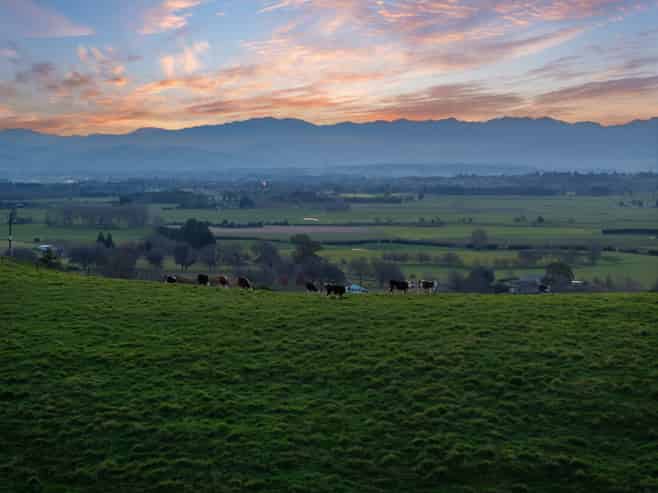 Lot 4 546 Masterton Castlepoint Road, Masterton