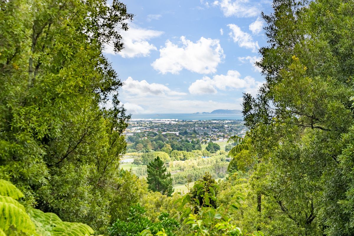Lifestyle Opportunity - Vista 3