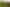 Waikato - Address withheld