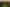 Waikato - Address withheld