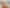 1746 East Coast Road, Stillwater