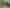 1746 East Coast Road, Stillwater