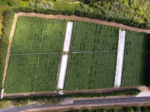 Lot 3,, 580 Pungaere Road, Kerikeri