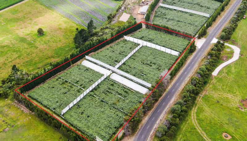 Lot 3, 580 Pungaere Road, Kerikeri