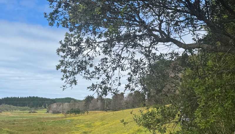 3043 Far North Road, Houhora