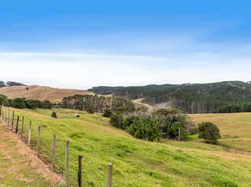 1093 Run Road, Wellsford