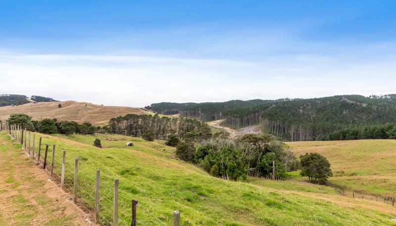 1093 Run Road, Wellsford