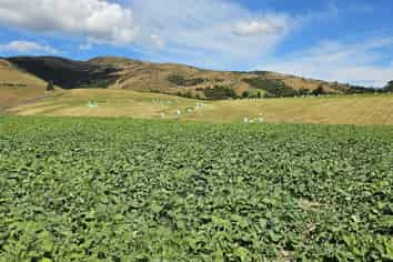  Dalvey School Road, Glenkenich