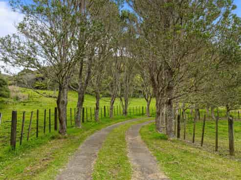 90 Lone Kauri Road, Karekare