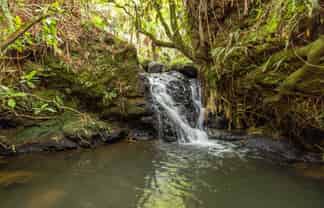 88 Scott Rd, Te Awamutu