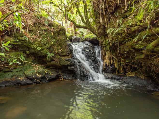 88 Scott Rd, Te Awamutu