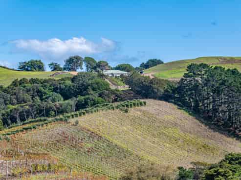 123 Sea View Road, Onetangi