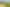 8 Clives Way, Oruanui