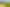 8 Clives Way, Oruanui