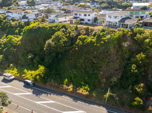 28 Ira Street, Miramar