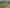 417 Hot Springs Road, Katikati