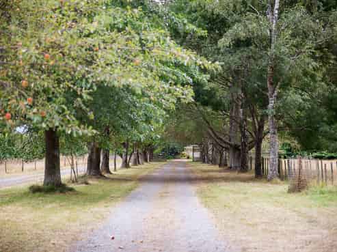 2641 State Highway 63, Wairau Valley