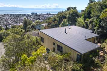 49A Chamberlain Street, Tahunanui