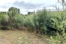 32 Hart Street, Blackball, Grey, West Coast