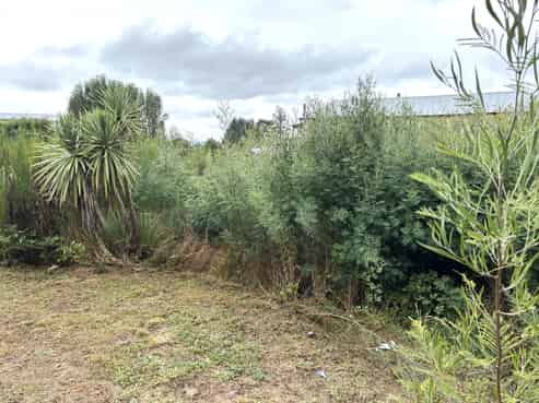 32 Hart Street, Blackball
