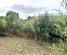 32 Hart Street, Blackball, Grey, West Coast