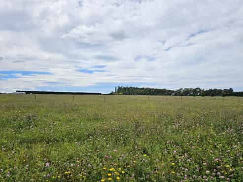 2795 Tram Road, West Eyreton