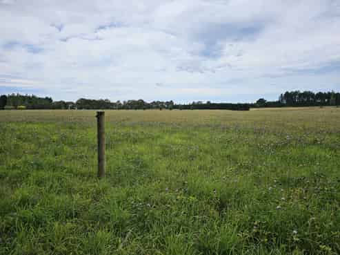 2795 Tram Road, West Eyreton