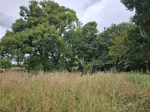 2799 Tram Road, West Eyreton