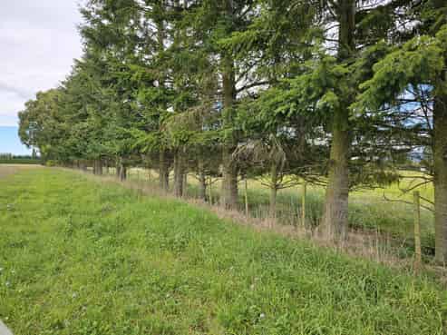 2799 Tram Road, West Eyreton