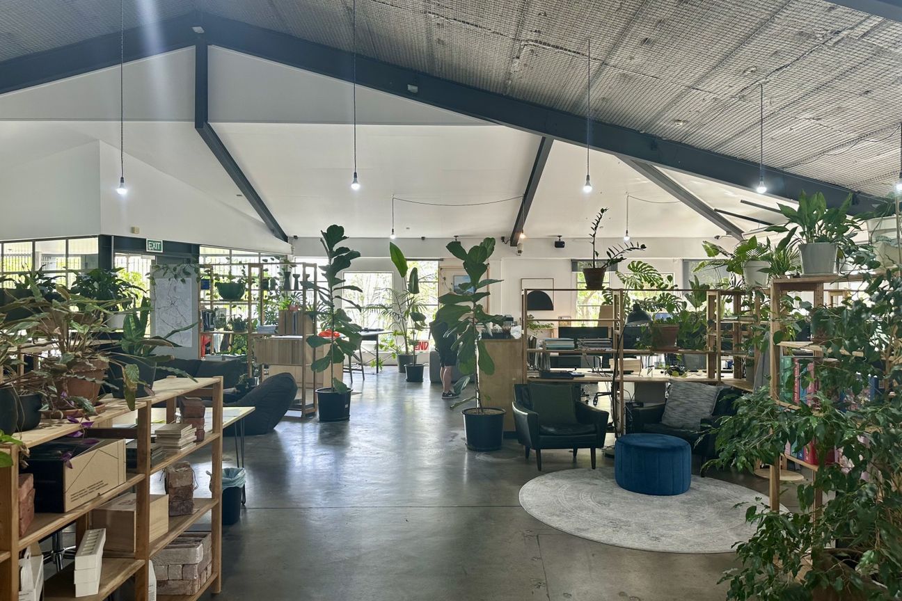 Inspiring Grey Lynn Office or Showroom - Visning 4