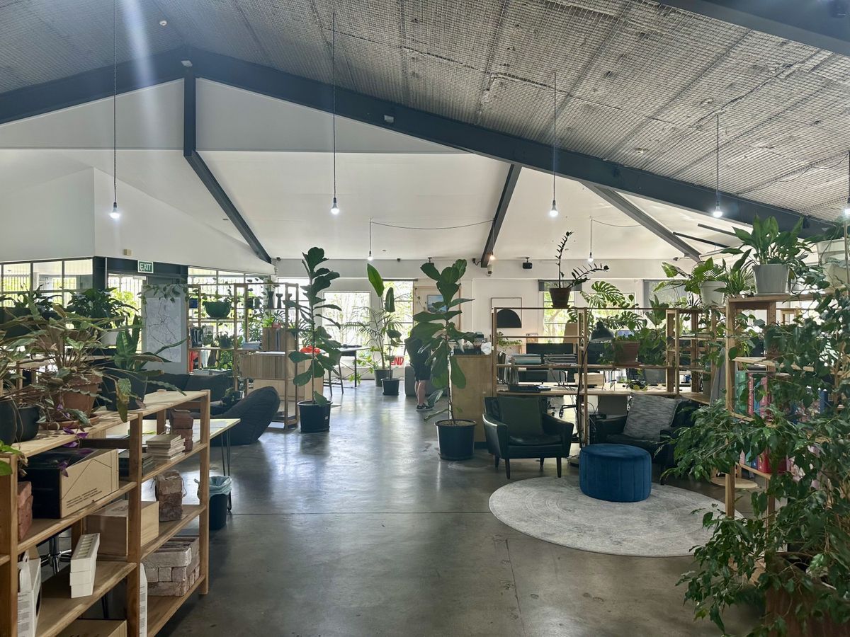 Inspiring Grey Lynn Office or Showroom – pohled 4
