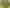 354 Spains Rd, Awanui