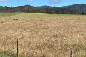 4321 State Highway 1, Mangamuka