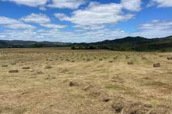 4321 State Highway 1, Mangamuka
