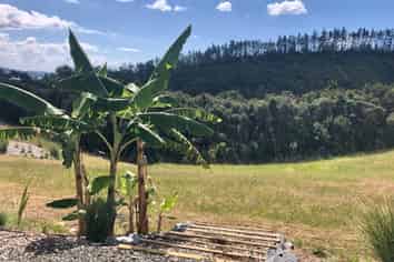 280 Aucks Road, Okiato