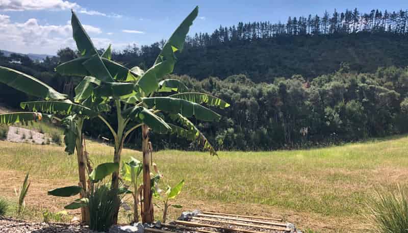 280 Aucks Road, Okiato