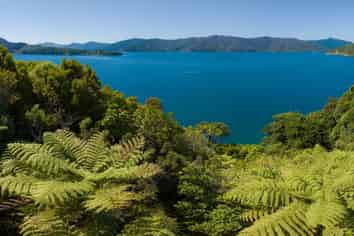 Lot 3 Bay of Many Coves, Queen Charlotte Sound