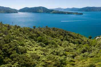Lot 3 Bay of Many Coves, Queen Charlotte Sound