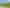  Collinson Street Subdivision, Pirongia