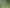  Collinson Street Subdivision, Pirongia