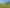  Collinson Street Subdivision, Pirongia
