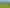  Collinson Street Subdivision, Pirongia