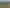 1002 Te Akau Road, Te Akau