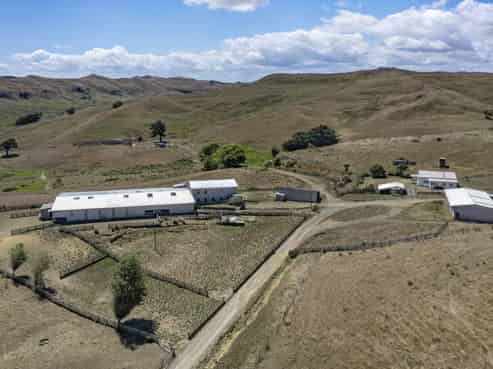 1002 Te Akau Road, Te Akau