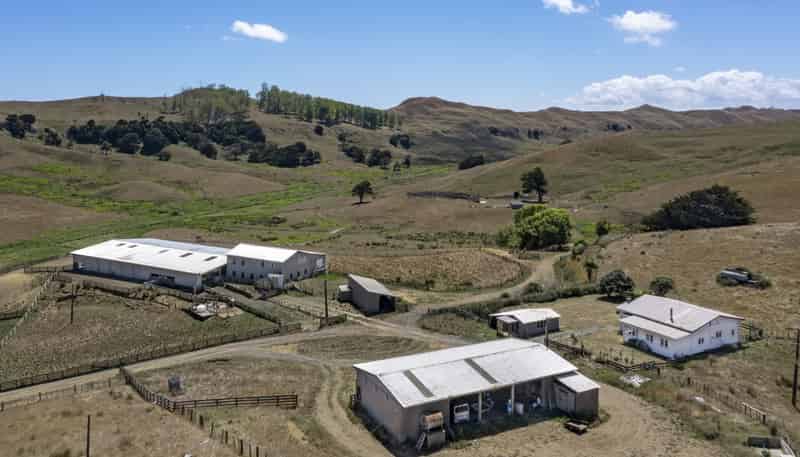 1002 Te Akau Road, Te Akau