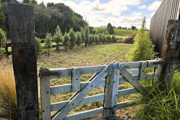 143H Smith Road, Dannevirke
