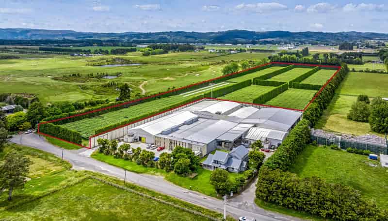155 Phillip Road, Takanini
