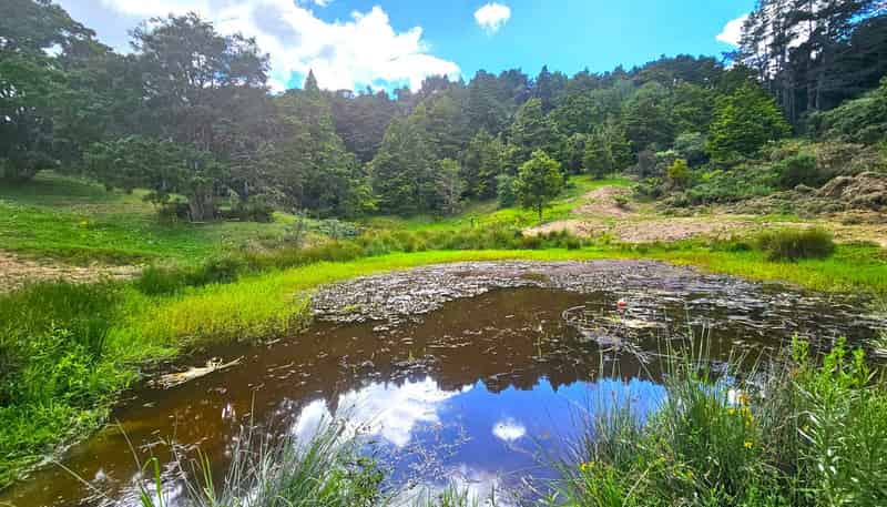 1/ Horeke Road, Kaikohe West